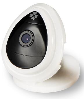 IP cameras